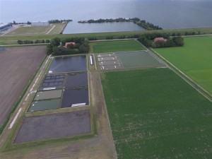 Wolhandkrabmetslaachteroeverwieringermeer