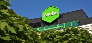 Avebe-head-office-small-576x275